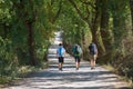 Three tourists walk along the country road of Tuscany Royalty Free Stock Photo