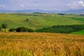 Tuscany June Countryside # 2