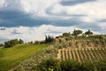 Tuscany Landscape