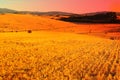 Tuscany Landscape