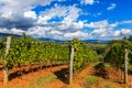 Tuscany Landscape