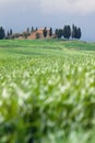 Tuscany landscape - belvedere Royalty Free Stock Photo