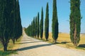 Tuscany landscape of cypress trees road in Italy Royalty Free Stock Photo