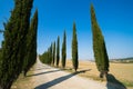 Tuscany landscape of cypress trees road in Italy Royalty Free Stock Photo