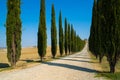 Tuscany landscape of cypress trees road in Italy Royalty Free Stock Photo