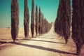 Tuscany landscape of cypress trees road in Italy Royalty Free Stock Photo