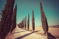 Tuscany landscape of cypress trees road in Italy. Royalty Free Stock Photo