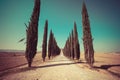 Tuscany landscape of cypress trees road in Italy. Royalty Free Stock Photo