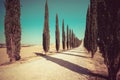 Tuscany landscape of cypress trees road in Italy. Royalty Free Stock Photo