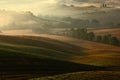 Tuscany landscape with fog. Sunrise morning in Tuscany landscape. Idyllic view of hilly farmland in Tuscany in beautiful morning Royalty Free Stock Photo