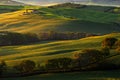 Tuscany landscape with fog. Sunrise morning in Tuscany landscape. Idyllic view of hilly meadow in Tuscany in beautiful morning