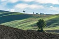 Tuscany landscape at gentle sunrise light. Italy, Europe Royalty Free Stock Photo