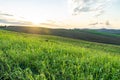 Tuscany landscape at gentle sunset light Royalty Free Stock Photo