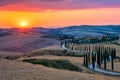 Tuscany landscape with grain fields, cypress trees on the hills at sunset in Tuscany, Italy, Europe Royalty Free Stock Photo