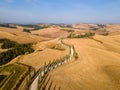 Tuscany landscape with grain fields, cypress trees and houses on the hills at sunset. Summer rural landscape with curved Royalty Free Stock Photo