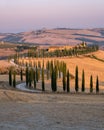 Tuscany landscape with grain fields, cypress trees and houses on the hills at sunset. Summer rural landscape with curved Royalty Free Stock Photo