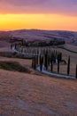 Tuscany landscape with grain fields, cypress trees and houses on the hills at sunset. Summer rural landscape with curved Royalty Free Stock Photo