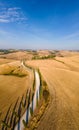 Tuscany landscape with grain fields, cypress trees and houses on the hills at sunset. Summer rural landscape with curved Royalty Free Stock Photo