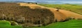 Tuscany landscape with green fields, blooming trees and little chapel of Madonna di Vitaleta, San Quirico d`Orcia, Siena. Royalty Free Stock Photo