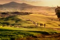 Tuscany landscape. Green hills of Val d`Orcia at sunset