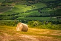 Tuscany landscape with hay bales in the field, Italy Royalty Free Stock Photo