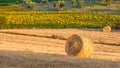 Tuscany landscape with hay bales in the field, Italy Royalty Free Stock Photo