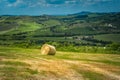 Tuscany landscape with hay bales in the field, Italy Royalty Free Stock Photo