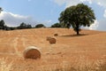 Tuscany landscape with hay bales, Italy Royalty Free Stock Photo