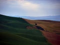 Tuscany landscape