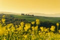 Tuscany landscape on the hill with a little chapel of Madonna d Royalty Free Stock Photo