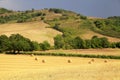 Tuscany landscape with hills, yellow fields and hay bales, Tuscany, Italy. Royalty Free Stock Photo