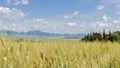 Tuscany landscape, Italy, Europe: wheat fields and a typical farm house Royalty Free Stock Photo