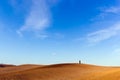 Tuscany landscape with a lonely cypress tree, Italy. Royalty Free Stock Photo