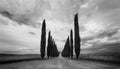 Tuscany Landscape panorama, hills, cypress and meadow,