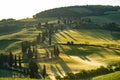 Tuscany - Landscape panorama, hills and meadow, Toscana - Italy Royalty Free Stock Photo