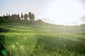 Tuscany - Landscape panorama, hills and meadow, Toscana - Italy Royalty Free Stock Photo