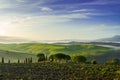 Tuscany - Landscape panorama at sunrise, hills and meadow, Italy Royalty Free Stock Photo