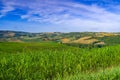 Tuscany - Landscape panorama at sunrise of Val d'Orcia Royalty Free Stock Photo