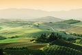 Tuscany landscape at sunrise. Tuscan farm house, vineyard, hills. Royalty Free Stock Photo