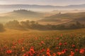 Tuscany landscape at sunrise. Typical for the region tuscan farmhouse, hills, vineyard. Italy Fresh Green tuscany landscape Royalty Free Stock Photo