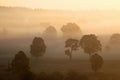 Tuscany landscape at sunrise. Typical for the region tuscan farmhouse, hills, vineyard. Italy Fresh Green tuscany landscape. Royalty Free Stock Photo