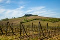 Tuscany Landscape