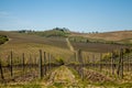 Tuscany Landscape