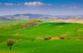 Tuscany landscape with typical farm house Royalty Free Stock Photo