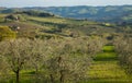 Tuscany Landscape