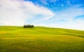 Tuscany landscape in Val d'Orcia, Italy Royalty Free Stock Photo