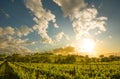 Tuscany landscape in Val d`Orcia between Sant`Angelo Scalo and Cinigiano - 05/23/2016 Royalty Free Stock Photo