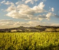 Tuscany landscape in Val d`Orcia between Sant`Angelo Scalo and Cinigiano - 05/23/2016 Royalty Free Stock Photo