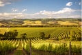 Tuscany landscape in Val d`Orcia between Sant`Angelo Scalo and Cinigiano - 05/23/2016 Royalty Free Stock Photo