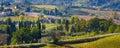 Tuscany landscape with vineyards, cypress trees Royalty Free Stock Photo